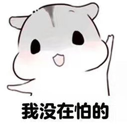 那么多司考经验贴,你到底应该看什么