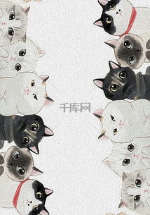 猫咪广告背景图片免费下载广告背景psd千库网图片编号4109552
