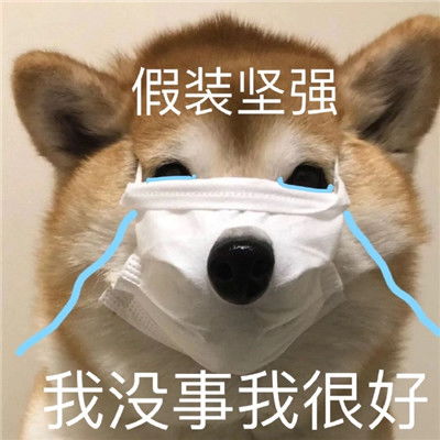 沙雕表情包我不是舔狗我是哥哥犬系女友