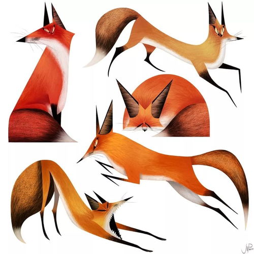 哈哈哈这种动物插画,看第一张就笑了