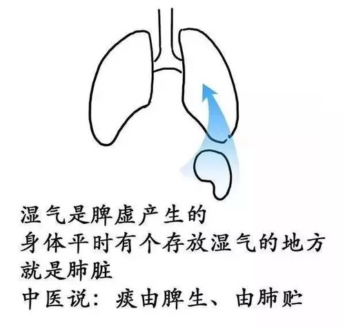 我们体内的湿气到底是怎样形成的一图秒懂
