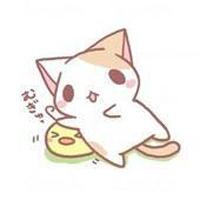 这两只小猫叫什么