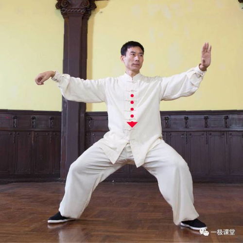 陈氏太极拳和谐十三式04单鞭