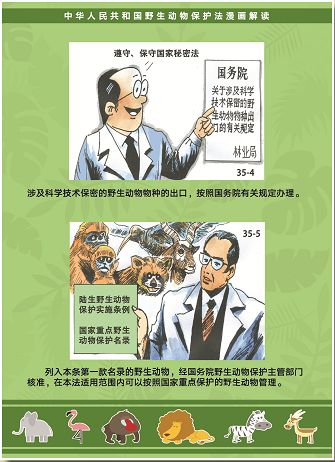 请传阅漫画图解新版野生动物保护法