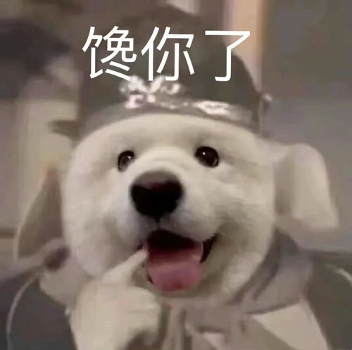 可爱的沙雕表情包