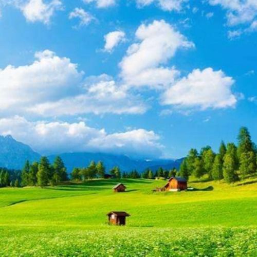 我们十年唐金海高音质在线试听我们十年歌词歌曲下载酷狗音乐