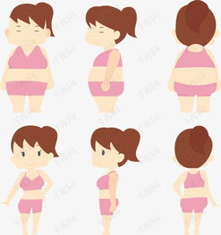 卡通女孩胖瘦对比素材图片免费下载高清装饰图案png千库网图片编号2277972