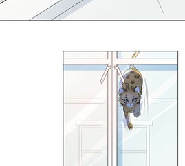世无良猫第1话千年猫男的悲催奇遇爱奇艺漫画