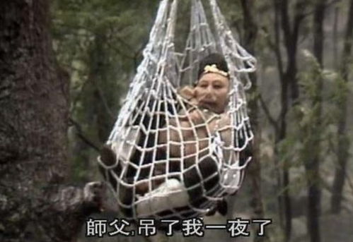 猪八戒好吃懒做不学好,唐僧为何还处处护着他