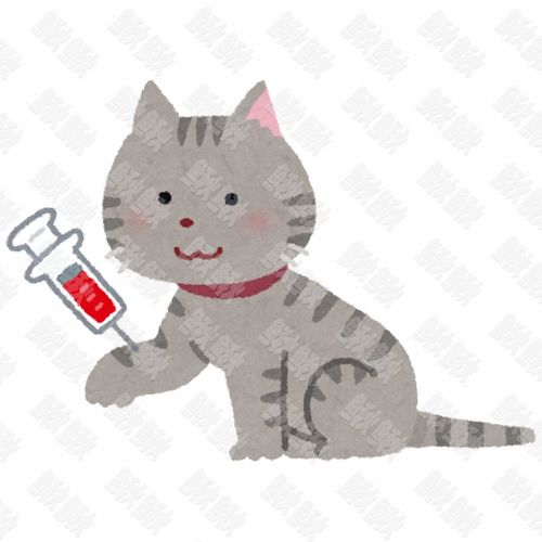 打针抽血验血的小狗狗猫咪小猫手绘卡通插画手绘png儿童插画免扣素材1阿猫阿狗