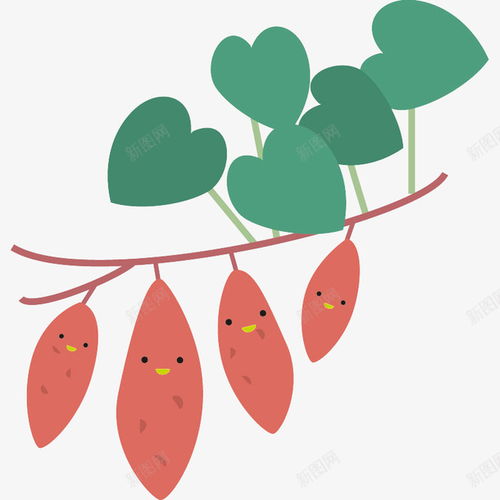 卡通一串微笑的可爱红薯插画红薯叶美味蔬菜元素免抠png设计图片免费下载页面网页平面电商创意素材蔬菜卡通素材