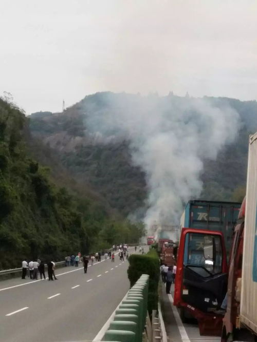 紧急发布沪蓉高速长阳段车辆起火,行车注意附视频图片