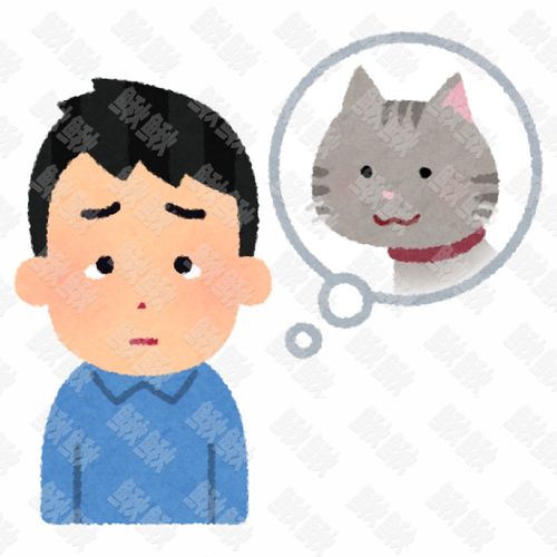 男主人思念想念丢失去世的小狗狗猫咪小猫手绘卡通插画手绘png儿童插画免扣素材1阿猫阿狗