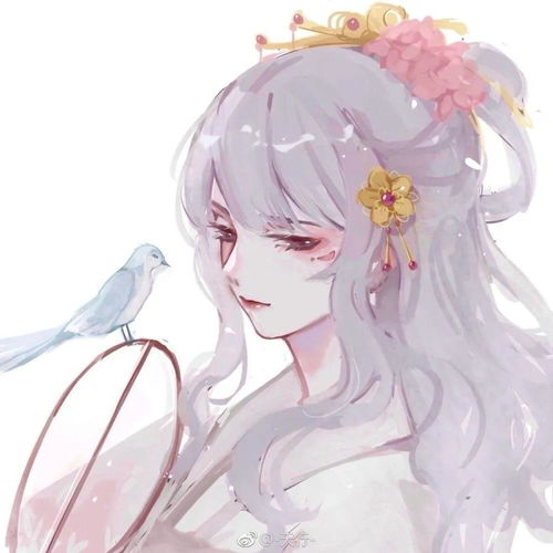 也许浪漫的插画头像