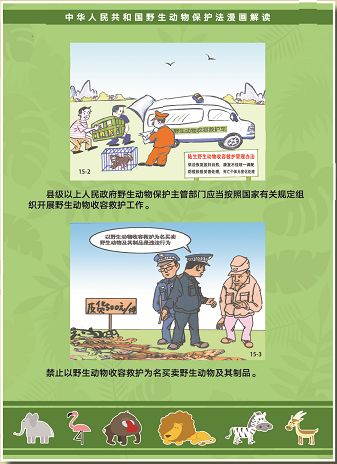 请传阅漫画图解新版野生动物保护法