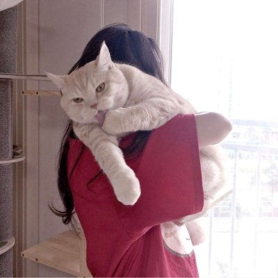 抱猫女头像,抱猫咪的仙气女生头像3