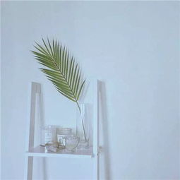 微信原创简约风景静物头像2018你已山清我沉酒里