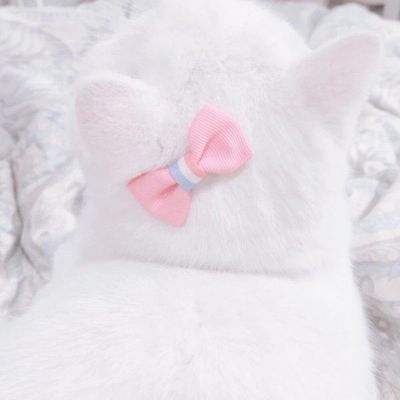 2021最新版很个性超级萌的猫头像与其追星星不如成为星星一样的人