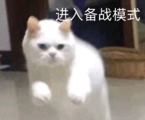 搞笑表情包图片我这个可爱的小女孩