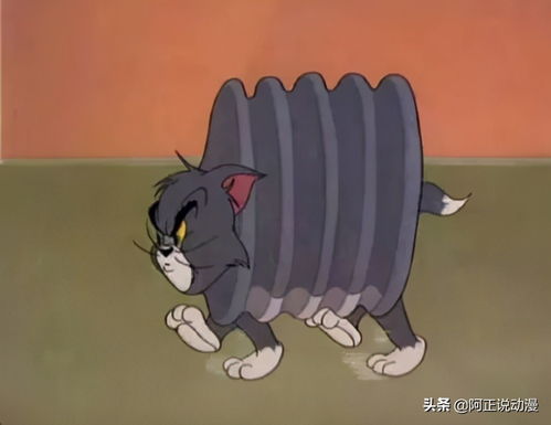 日本38岁无业男性在演唱会纵火,称是模仿京阿尼事件acgn新闻
