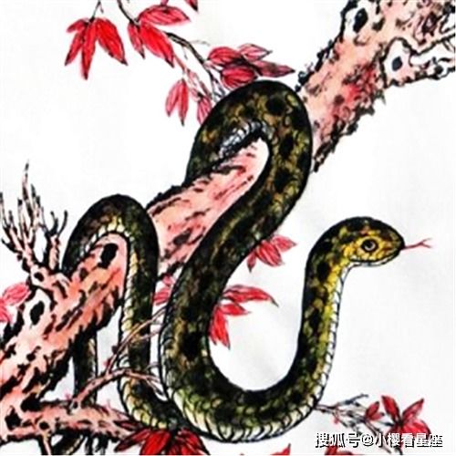 2021年,四大生肖财源滚滚,正财皆旺,好运连连,注定富贵多金