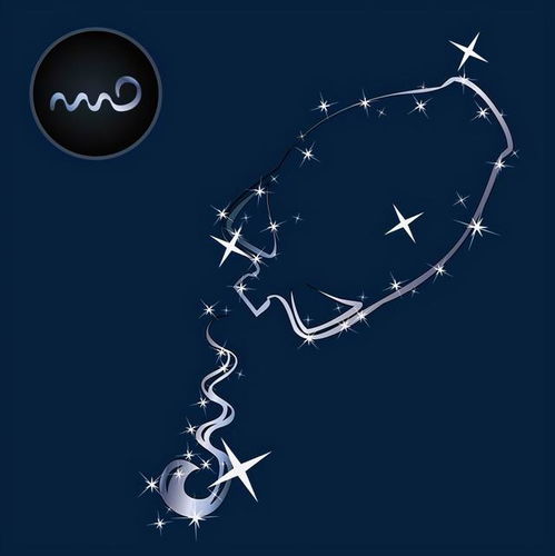 嫁给这四个星座男,幸福到永久