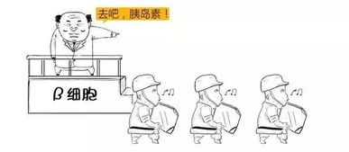 糖尿病普及之糖尿病的形成