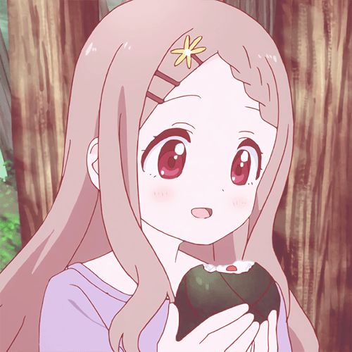 搜狐网
