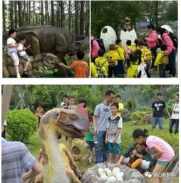 一外地公司在江夏办恐龙卡通展被叫停,广大市民请勿前往