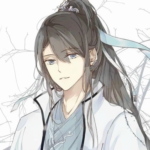 古风男头翩翩少年郎,公子世无双