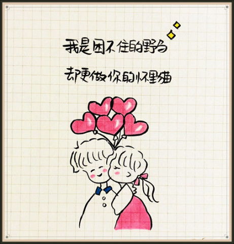 520还在送玫瑰花甜味儿简笔手绘火了,张张撩爆少女心