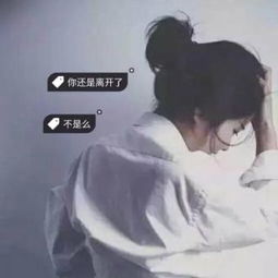 安稳视频直播全集安稳资料大全yy官方