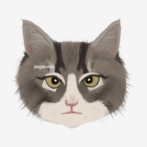 手绘卡通猫咪矢量png图片图片大小2480x2480px图片尺寸2.16mb来自png搜索网pngss.com免费免扣png素材下载插画大头照卡通卡通手绘可爱猫咪免扣挪威森林猫矢量手绘