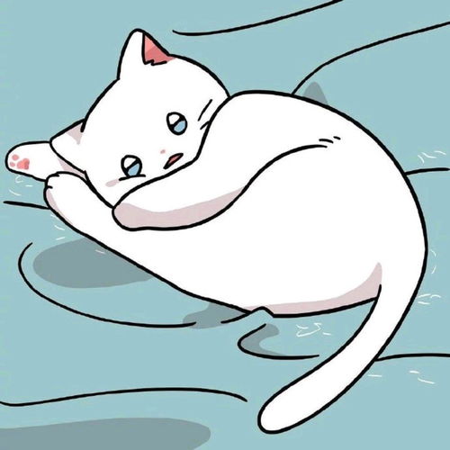 简单可爱猫咪头像