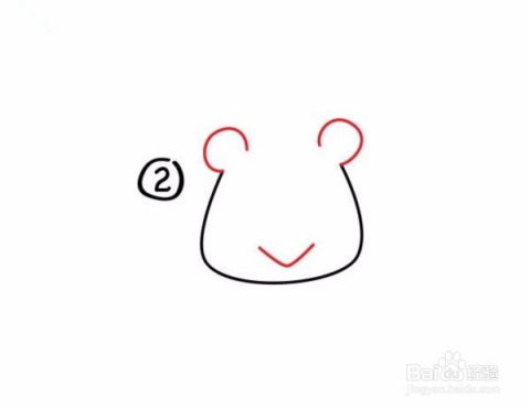 儿童绘画diy卡通狮子简笔画教程