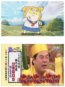 霸权动画pop子和pipi美的日常玩的是哪些梗你看懂了么