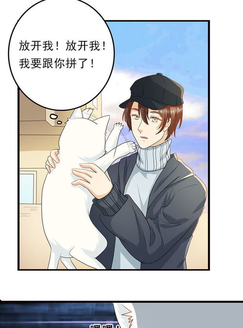 家有猫饼第4话誓不为宠爱奇艺漫画