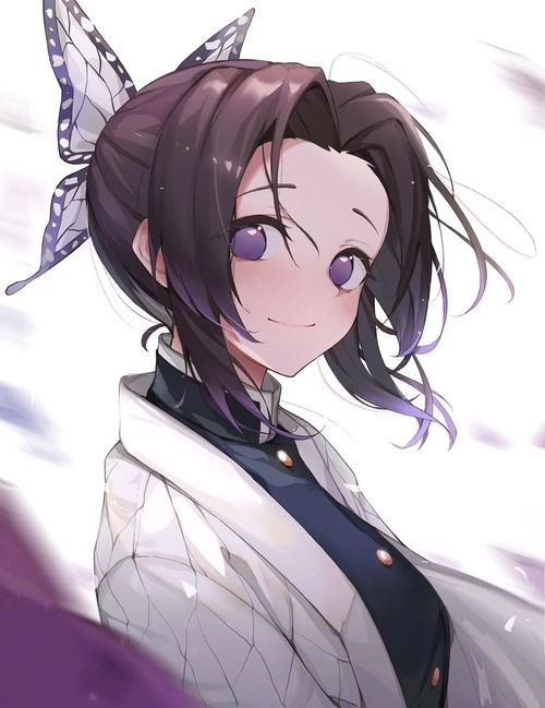 蝴蝶忍美图集锦三