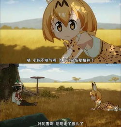兽娘动物园告诉我能吃咖喱饭,也是了不起的能力
