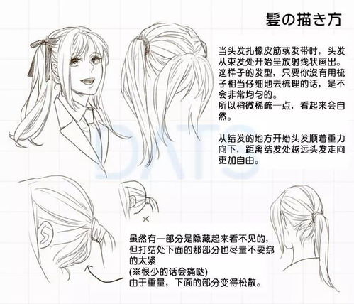 动漫人物发型的各种角度各种画法,多种发型参考