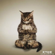 图片欣赏