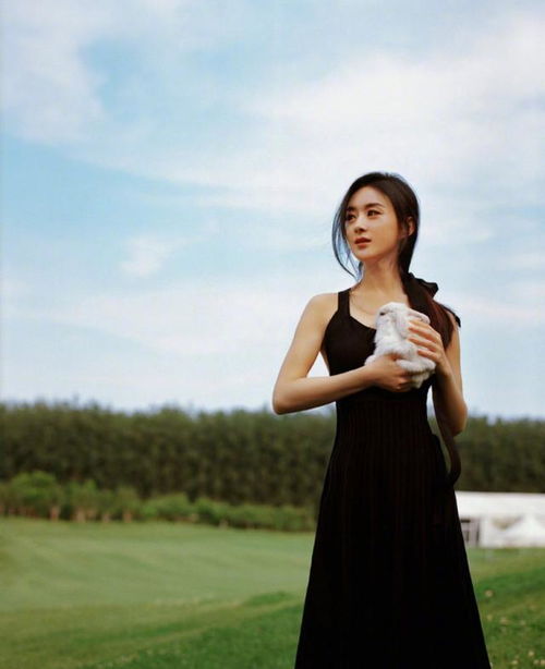 赵丽颖穿小黑裙太妩媚,本以为细腰是极限,看到背跪了