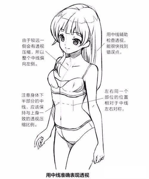 零基础漫画入门绘制草图的步骤