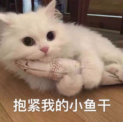 深圳约饭坐标罗湖