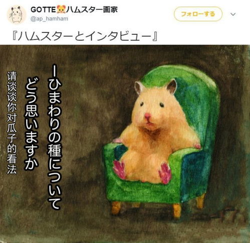 漫画仓鼠访谈请谈谈你对瓜子的看法