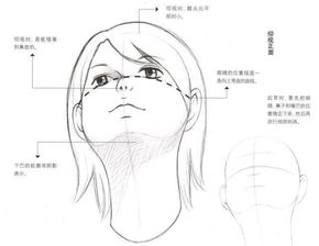 不同角度的人物脸部怎么画动漫人物五官详细的画法