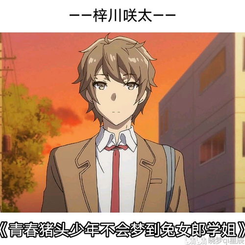 四大名霸校漫,反应四大世界观