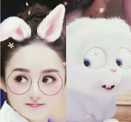 美颜相机赵丽颖动漫大头贴怎么玩赵丽颖动漫大头贴详情介绍安粉丝手游网
