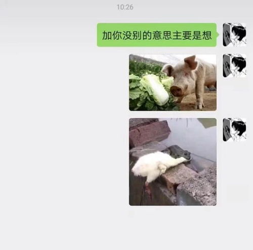 抖音加你没别的意思主要是想老牛吃嫩草图片大全抖音老牛吃嫩草清图片下载游戏吧